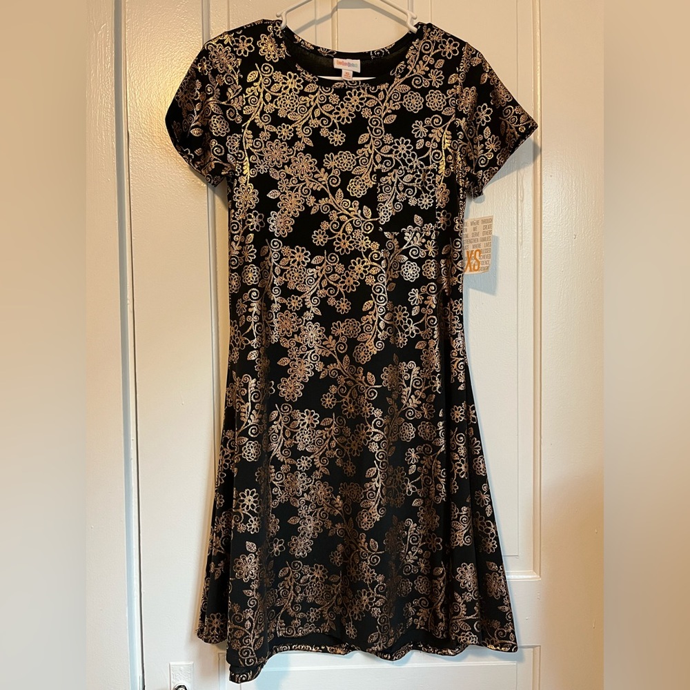 NWT LuLaRoe Carly dress - XS
